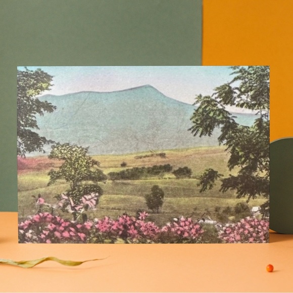 Massanutten Springs Station Harrisonburg Virginia Postcard - Picture 3 of 14